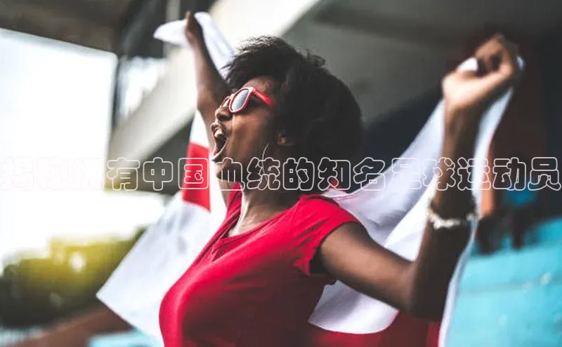 天富平台网页版入口猫眼揭秘拥有中国血统的知名足球运动员