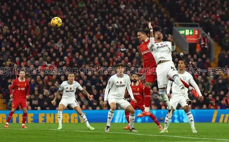 天富网站-注册通道壹网壹创巴西足球运动员高清图片专辑：展示巴西足球运动员魅力，尽在一览无遗