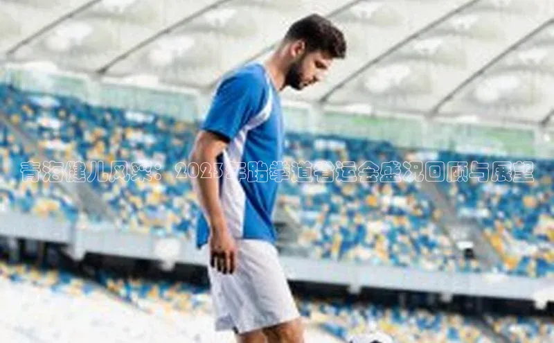 天富平台官方网站登录入口百度手机助手青海健儿风采：2023年跆拳道省运会盛况回顾与展望