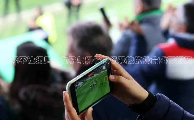 巾帼不让须眉：女子与男子同场竞技的体育盛事视频