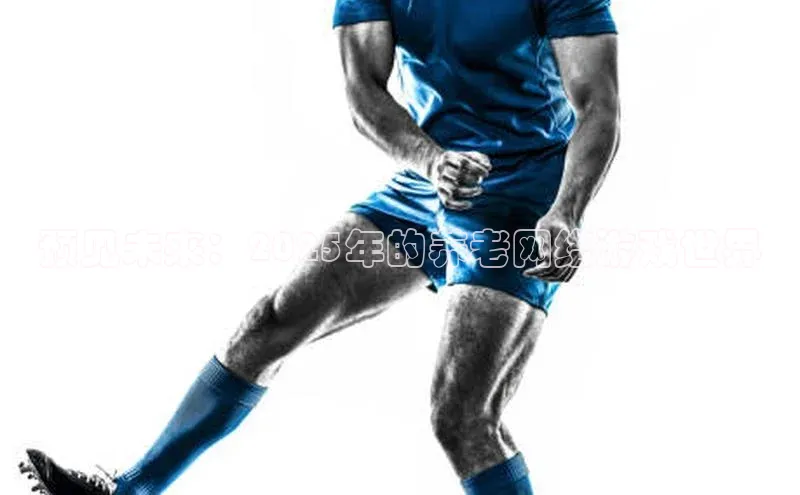 预见未来：2025年的养老网络游戏世界