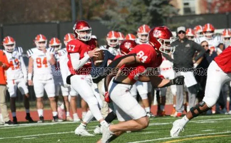 2025前后的游戏平台盈利策略分析与展望：未来成功之道